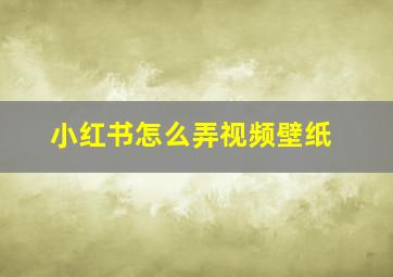 小红书怎么弄视频壁纸