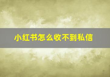 小红书怎么收不到私信