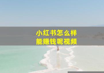 小红书怎么样能赚钱呢视频