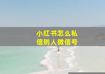 小红书怎么私信别人微信号