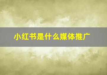 小红书是什么媒体推广