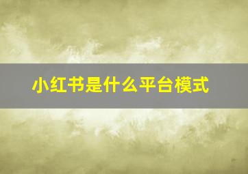 小红书是什么平台模式