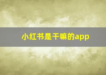 小红书是干嘛的app