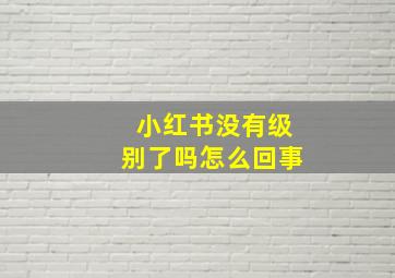 小红书没有级别了吗怎么回事