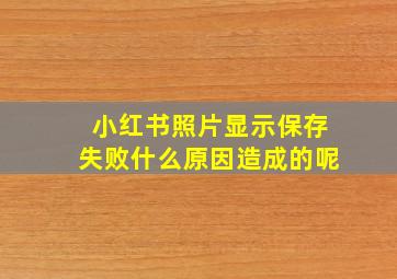 小红书照片显示保存失败什么原因造成的呢