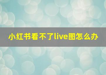 小红书看不了live图怎么办