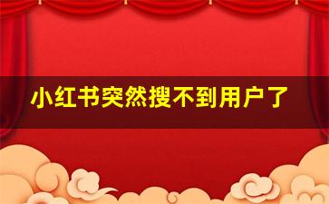 小红书突然搜不到用户了