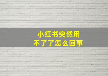 小红书突然用不了了怎么回事