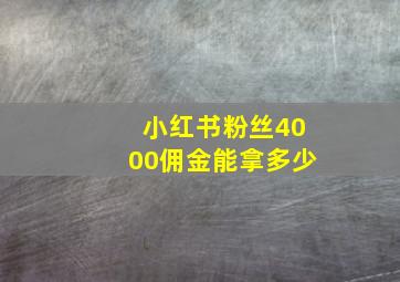 小红书粉丝4000佣金能拿多少