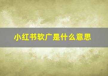 小红书软广是什么意思