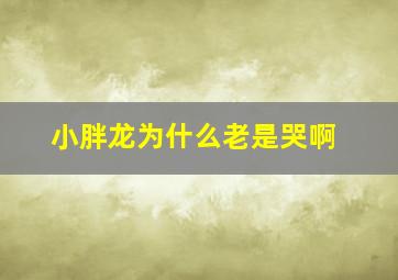 小胖龙为什么老是哭啊