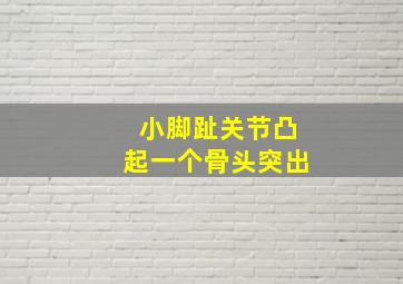 小脚趾关节凸起一个骨头突出