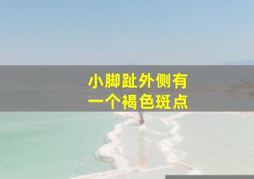 小脚趾外侧有一个褐色斑点