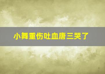 小舞重伤吐血唐三哭了