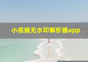 小视频无水印解析器app