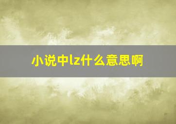 小说中lz什么意思啊