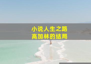 小说人生之路高加林的结局