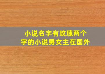 小说名字有玫瑰两个字的小说男女主在国外