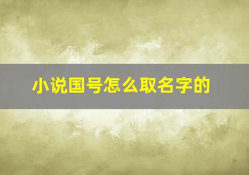 小说国号怎么取名字的