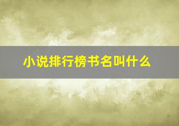 小说排行榜书名叫什么