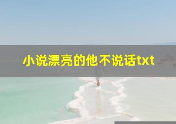 小说漂亮的他不说话txt