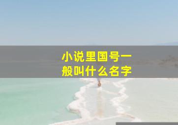 小说里国号一般叫什么名字