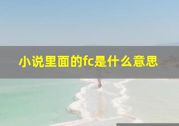 小说里面的fc是什么意思