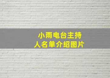 小雨电台主持人名单介绍图片