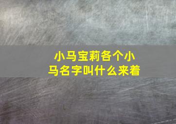 小马宝莉各个小马名字叫什么来着