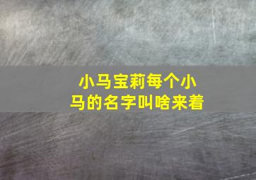 小马宝莉每个小马的名字叫啥来着