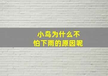 小鸟为什么不怕下雨的原因呢