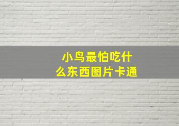 小鸟最怕吃什么东西图片卡通