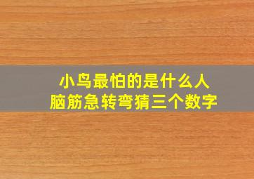 小鸟最怕的是什么人脑筋急转弯猜三个数字