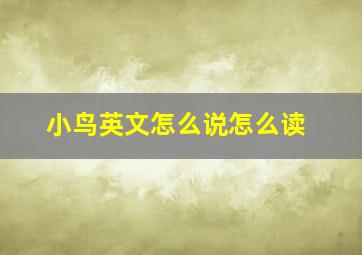 小鸟英文怎么说怎么读