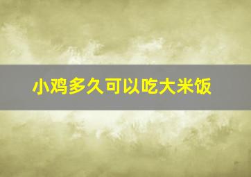 小鸡多久可以吃大米饭