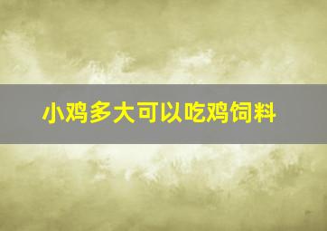 小鸡多大可以吃鸡饲料