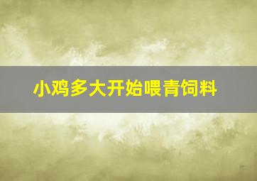 小鸡多大开始喂青饲料