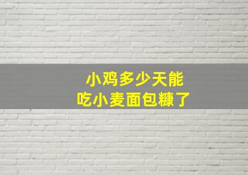 小鸡多少天能吃小麦面包糠了