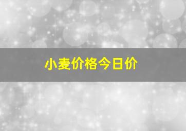 小麦价格今日价