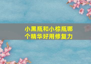 小黑瓶和小棕瓶哪个精华好用修复力