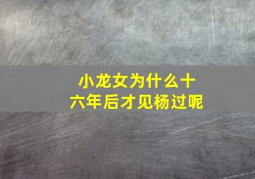 小龙女为什么十六年后才见杨过呢