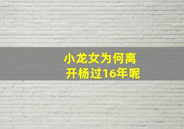 小龙女为何离开杨过16年呢