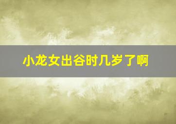 小龙女出谷时几岁了啊