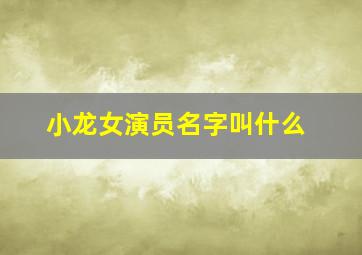 小龙女演员名字叫什么