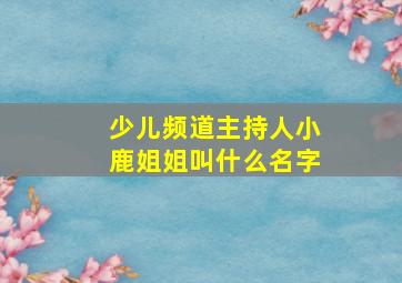 少儿频道主持人小鹿姐姐叫什么名字