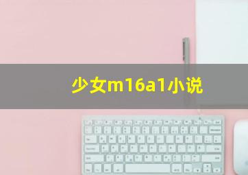 少女m16a1小说