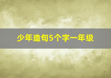 少年造句5个字一年级