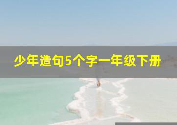 少年造句5个字一年级下册