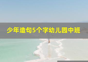 少年造句5个字幼儿园中班