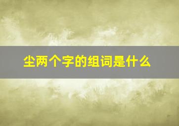 尘两个字的组词是什么